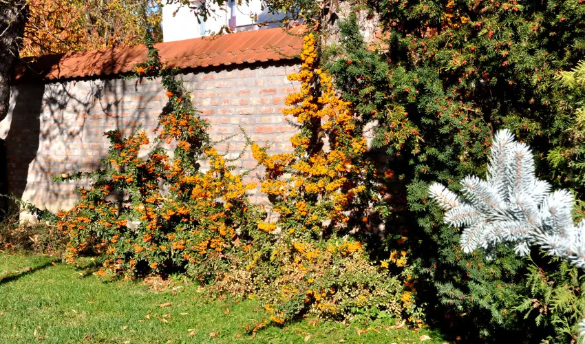 Ametiszt Hotel Harkány