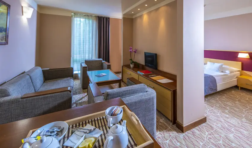 Drva Hotel Thermal Resort Harkny