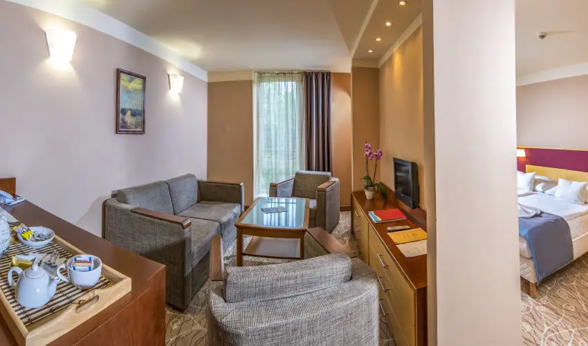 Drva Hotel Thermal Resort Harkny