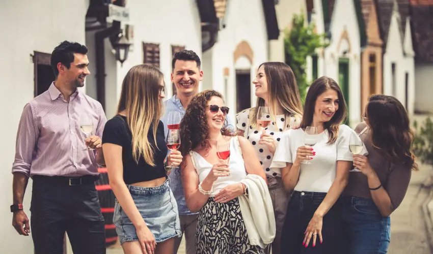 Hotel Cabernet Villnykvesd