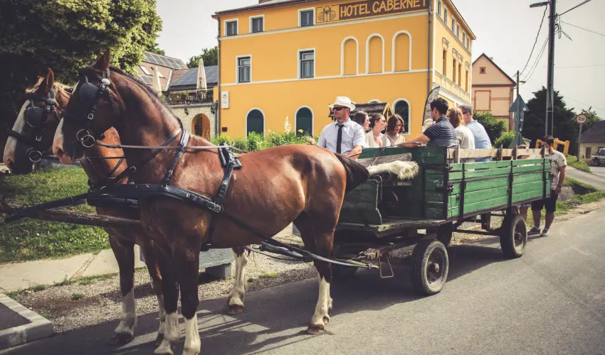 Hotel Cabernet Villnykvesd