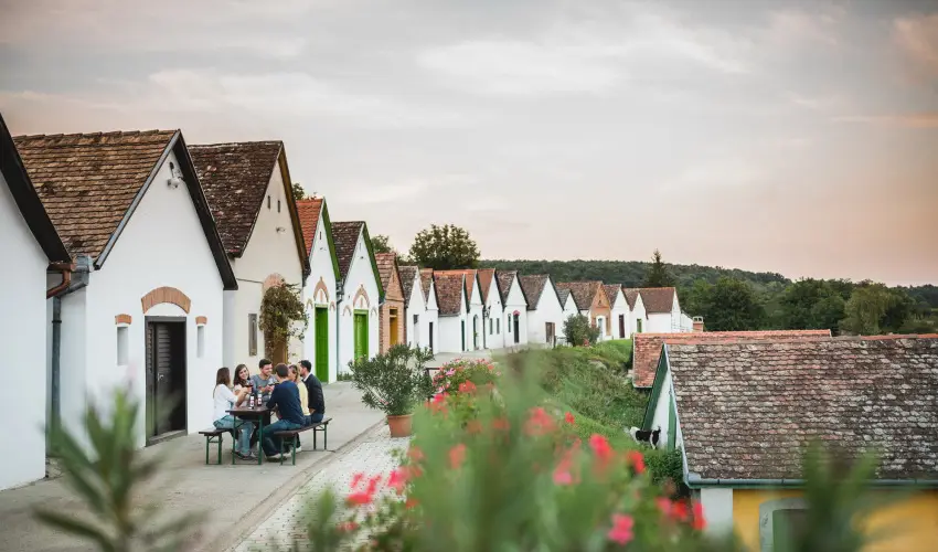 Hotel Cabernet Villnykvesd