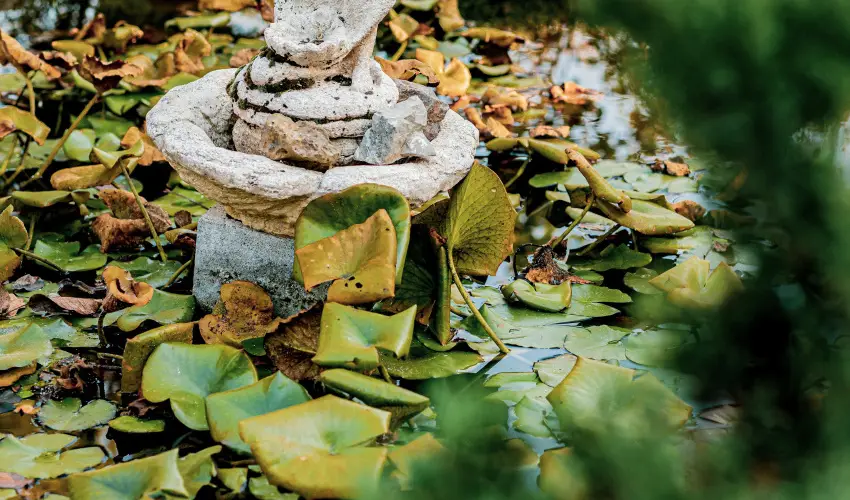 Kastello Vend�gh�z Nagykoz�r