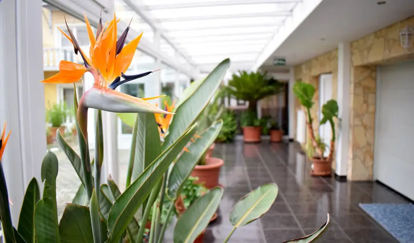 Ldia Hotel Harkny Harkny