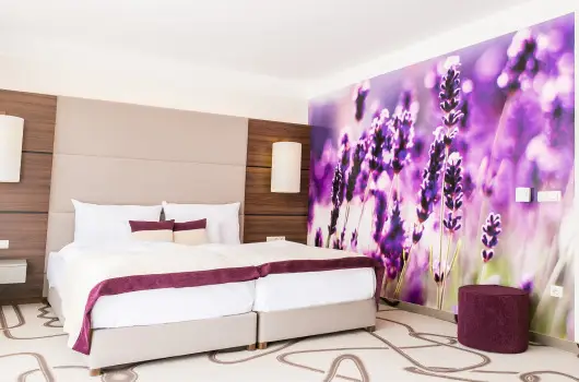 Ambient Hotel & ThermalSPA****, Sikonda, Hark�ny - 29 km