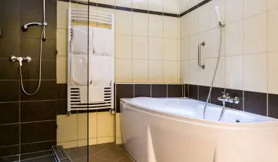 Ambient Hotel & ThermalSPA**** Sikonda