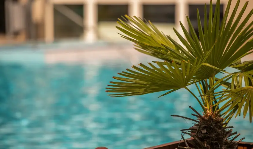 Ambient Hotel & ThermalSPA**** Sikonda