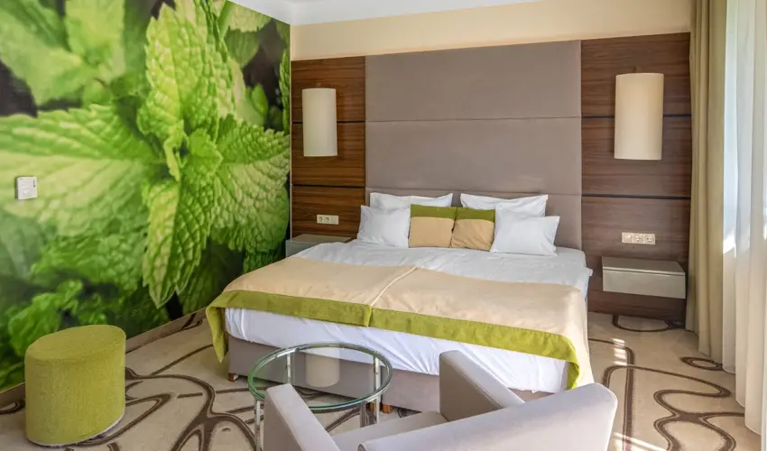 Ambient Hotel & ThermalSPA**** Sikonda